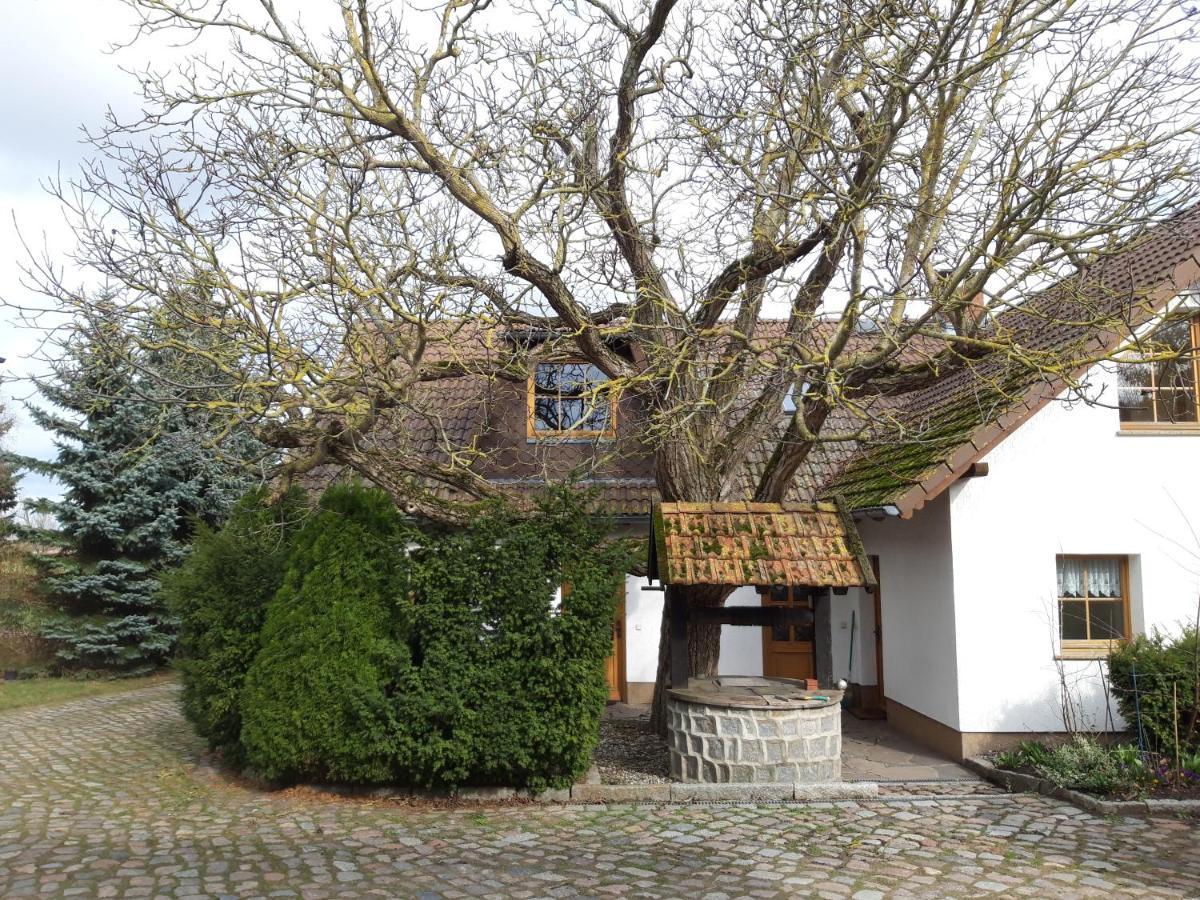 Ein Bett Im Kornfeld - Haus Morgensonne - Mit Innenpool Schonfeld  Luaran gambar
