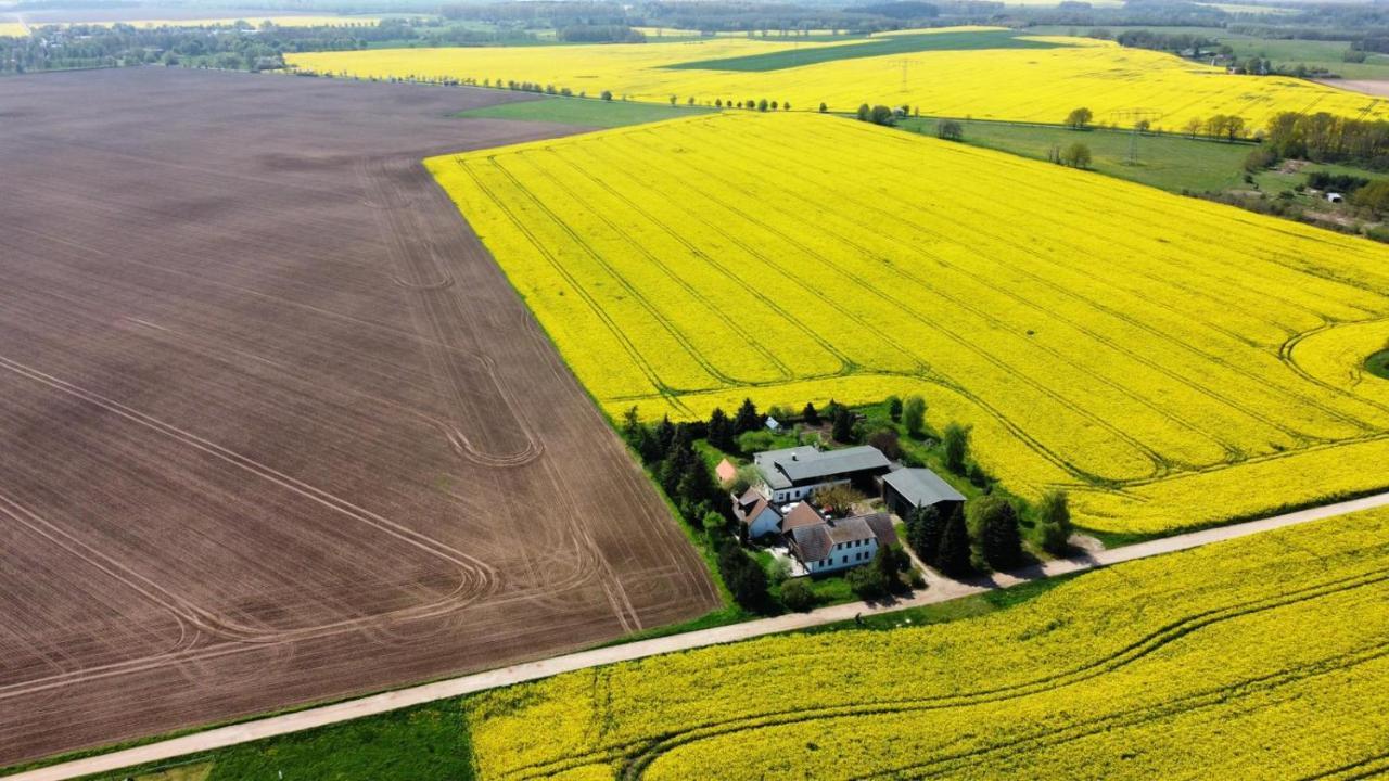 Ein Bett Im Kornfeld - Haus Morgensonne - Mit Innenpool Schonfeld  Luaran gambar