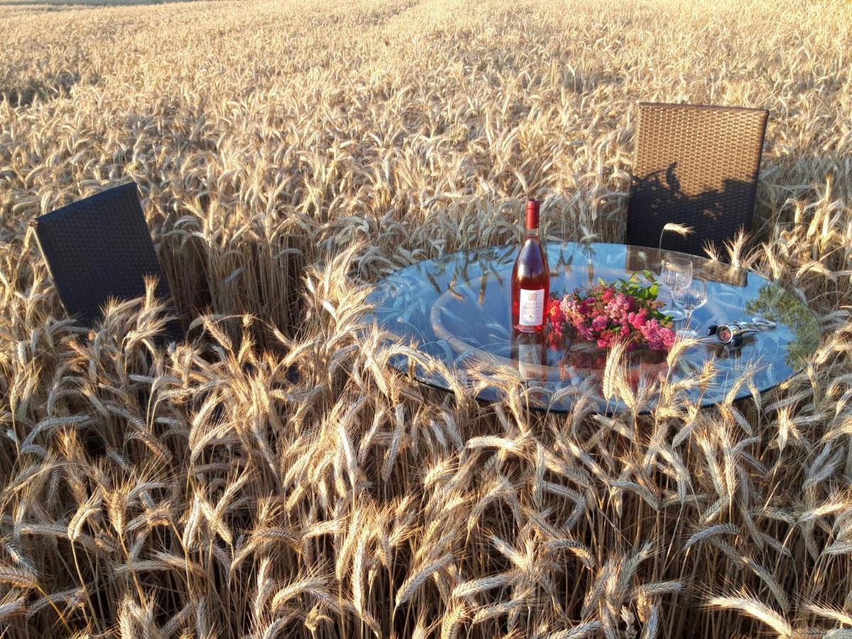 Ein Bett Im Kornfeld - Haus Morgensonne - Mit Innenpool Schonfeld  Luaran gambar